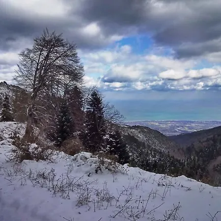 شقة فندقية Alexandros *