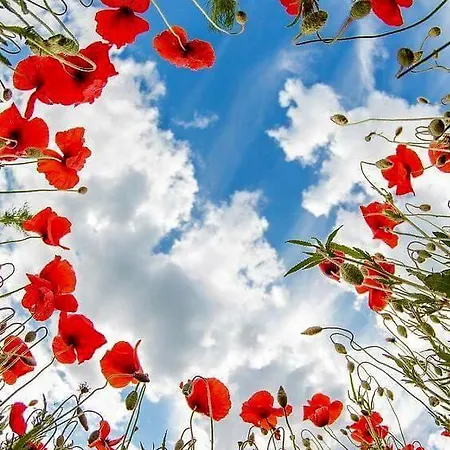 Alexandros Apart Otel *