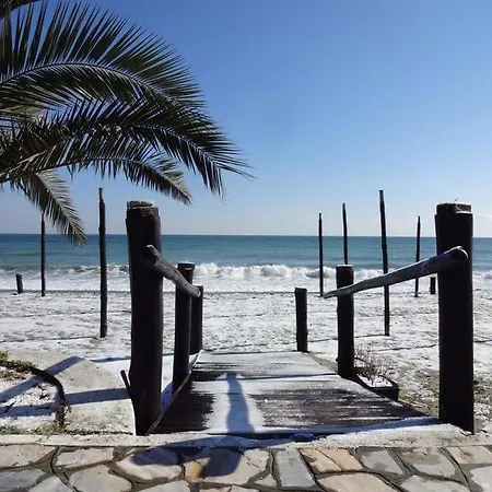 Alexandros * 렙토카리아