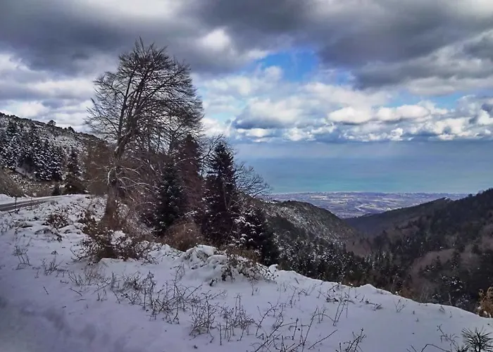 Hotel apartamentowy Alexandros *