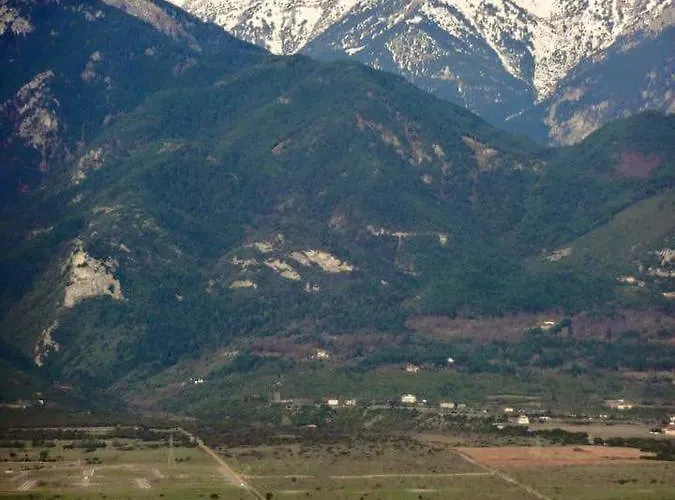 Alexandros Hotel apartamentowy