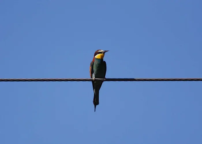 Alexandros Hotel apartamentowy